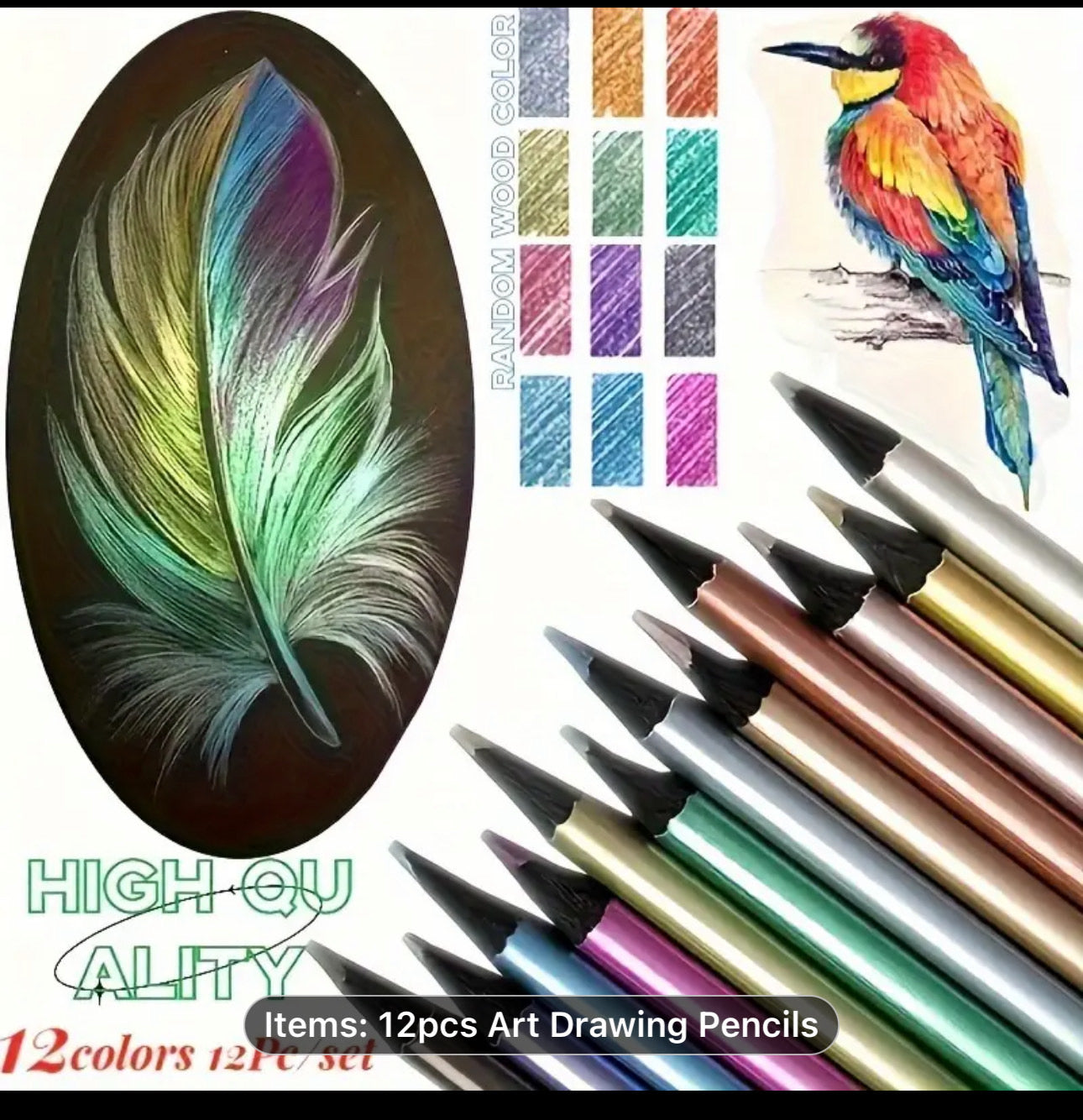Metallic Colored Pencils (12 Pcs)