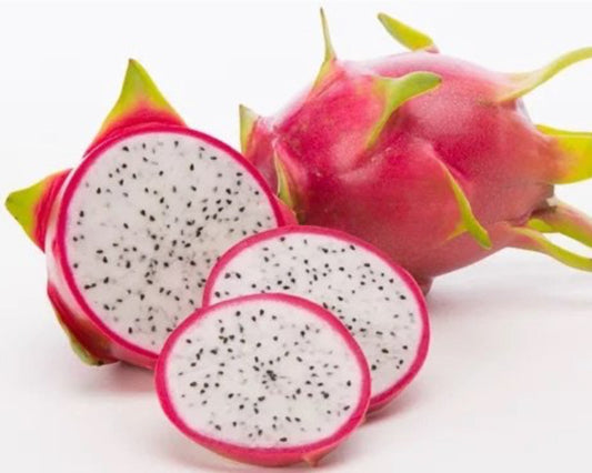 Dragon Fruit single